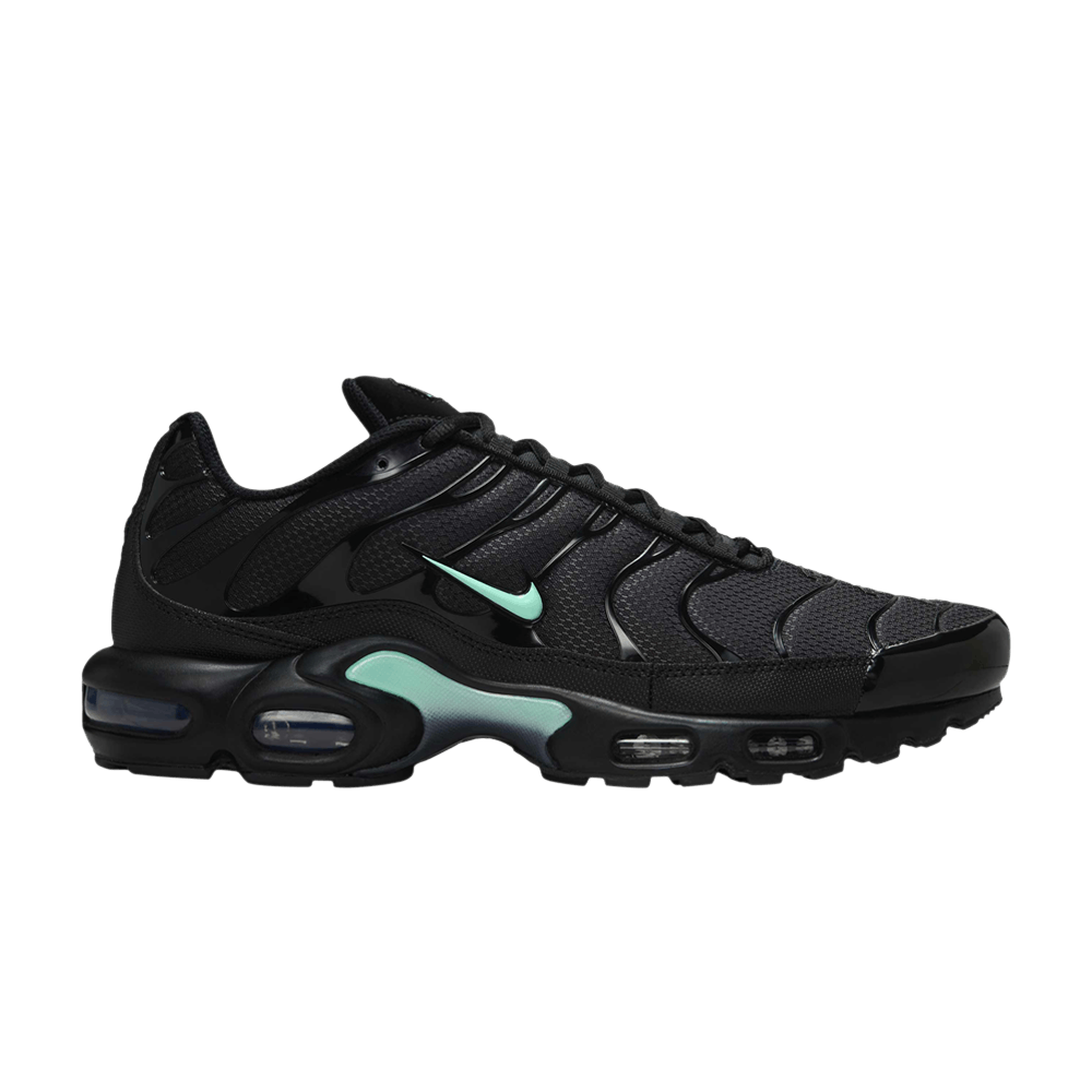 Nike Air Max Plus Noir Vert Menthe